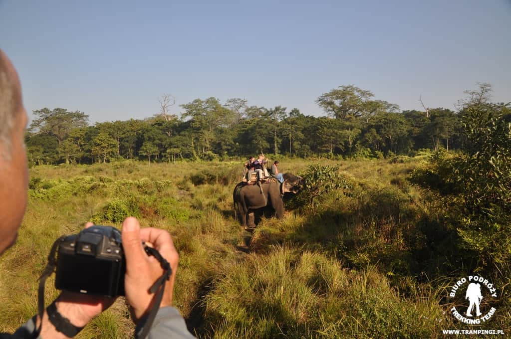 Bezkrwawe safari w Parku Chitwan, Nepal chitwan-safari-slonie